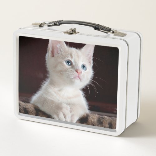 Vulnerable White Kitten Metal Lunch Box