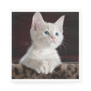 Vulnerable White Kitten Napkins