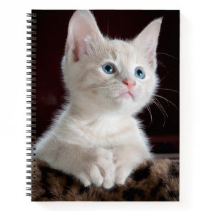 Vulnerable White Kitten Notebook