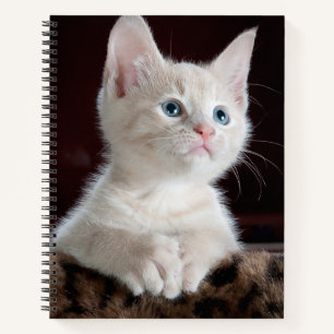 Vulnerable White Kitten Notebook