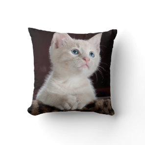 Vulnerable White Kitten Throw Pillow