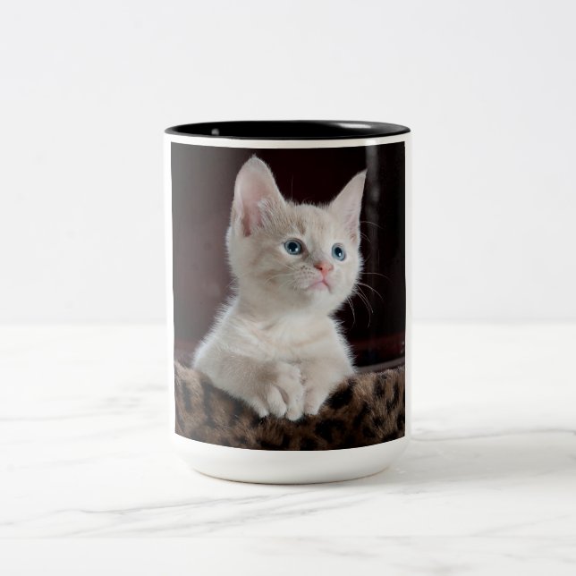 Vulnerable White Kitten Two-Tone Coffee Mug (Center)