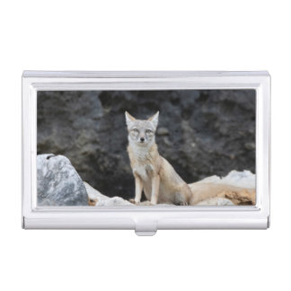 Vulpes corsac business card case