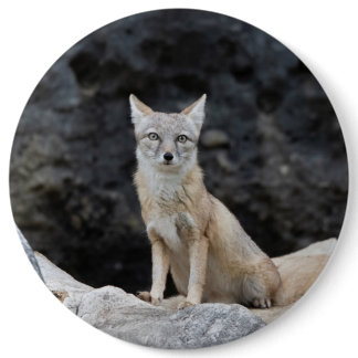 Vulpes corsac button