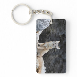 Vulpes corsac keychain