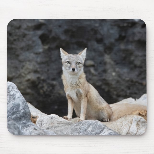 Vulpes corsac mouse pad (Front)