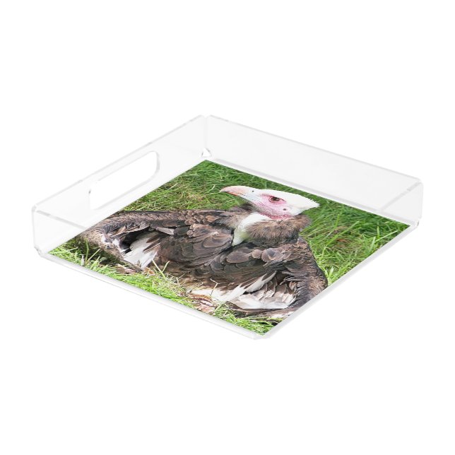 VULTURE ACRYLIC TRAY (Angled)
