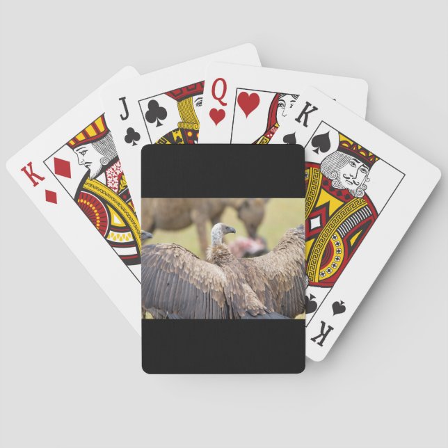 Vulture and Hyena Poker Cards (Back)