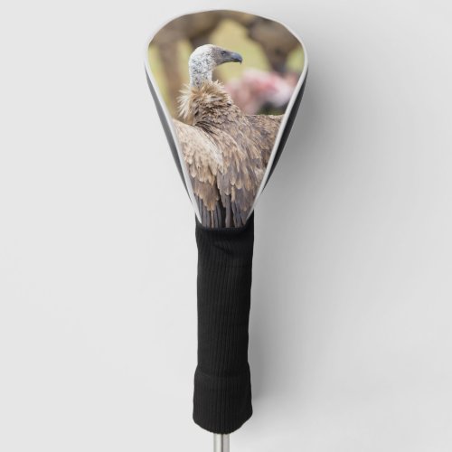 Vulture and Hyena wildlife Photo Golf Head Cover