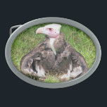 VULTURE BELT BUCKLE<br><div class="desc">A photographic design of a beautiful Ruppell's griffon vulture. A bird of prey native to Africa.</div>