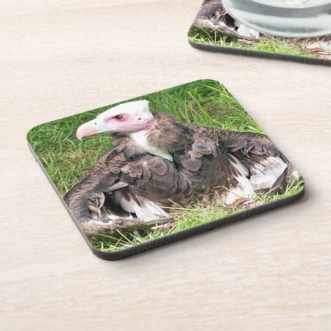 VULTURE BEVERAGE COASTER (Left Side)