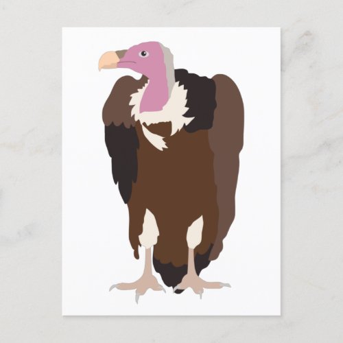 Vulture Bird Illustration  Holiday Postcard