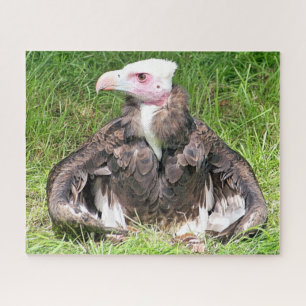 VULTURE BIRD OF PREY JIGSAW PUZZLE