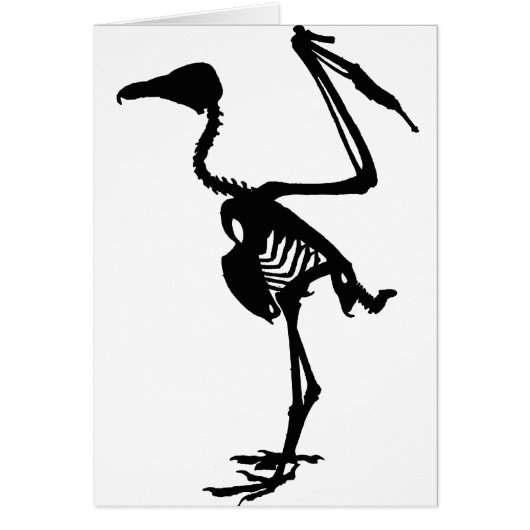 Vulture Bones Cards (Front)