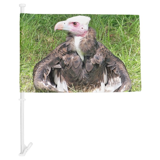 VULTURE CAR FLAG (Front)