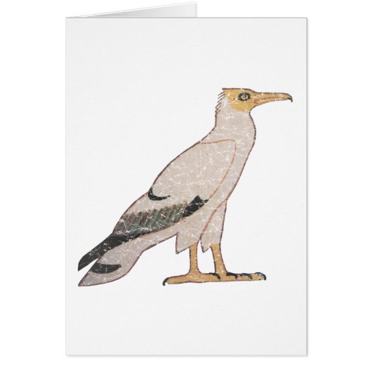 Vulture Cards (Front)