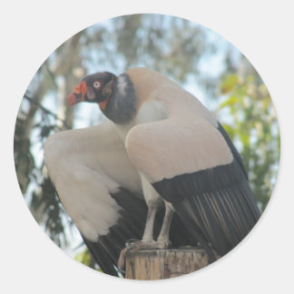 vulture classic round sticker