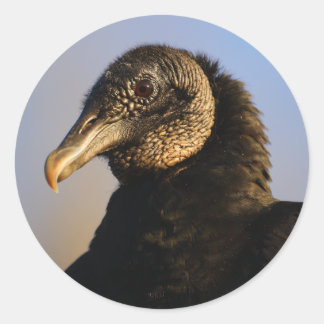 vulture classic round sticker