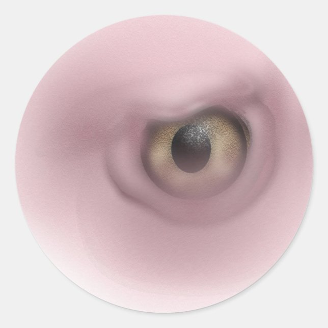 Vulture Eye Classic Round Sticker (Front)