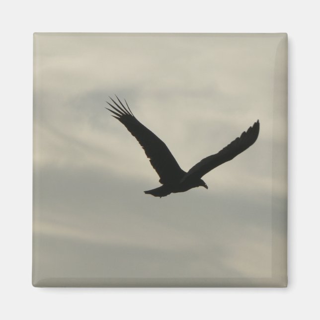 Vulture. Magnet (Front)