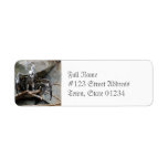 Vulture Mailing Labels