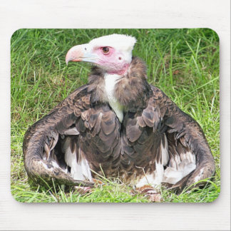 VULTURE MOUSE PAD