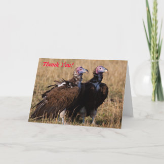Vulture Pair Thank You Card