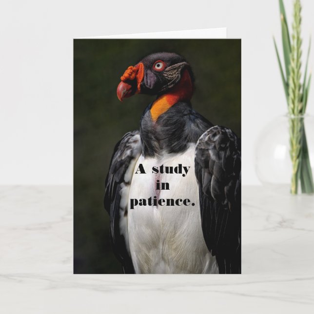 VULTURE PATIENCE BIRTHDAY CARD (Front)