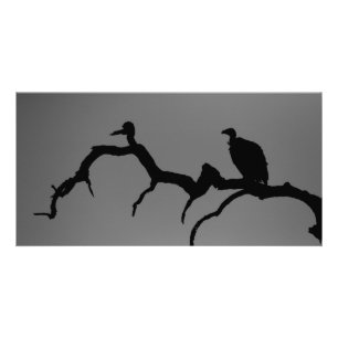 Vulture Silhouette Card