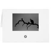 Vulture Silhouette Cards (Back Horizontal)