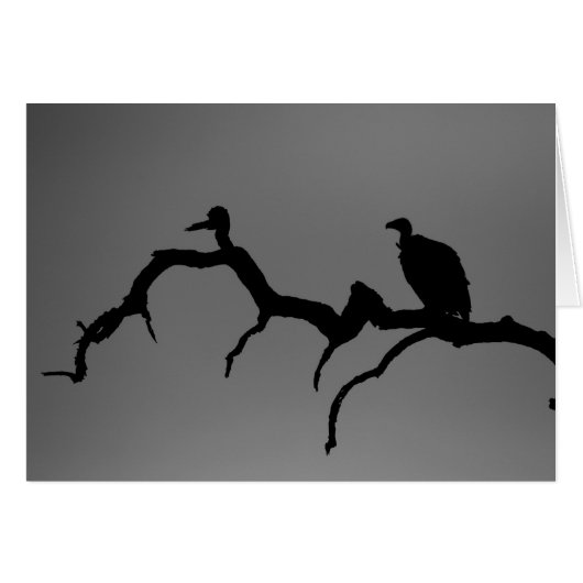 Vulture Silhouette Cards (Front Horizontal)