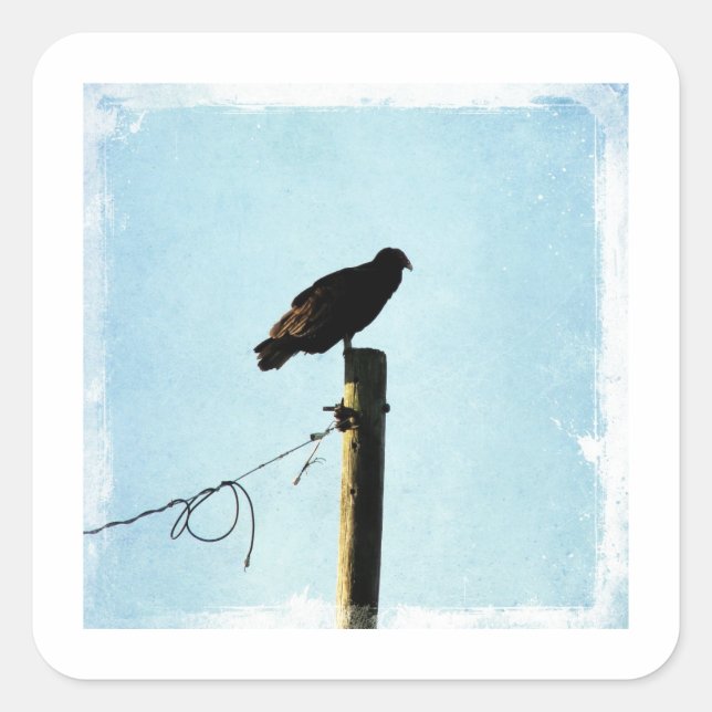 Vulture Square Sticker (Front)