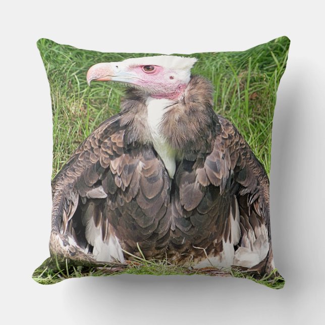VULTURE THROW PILLOW (Front)