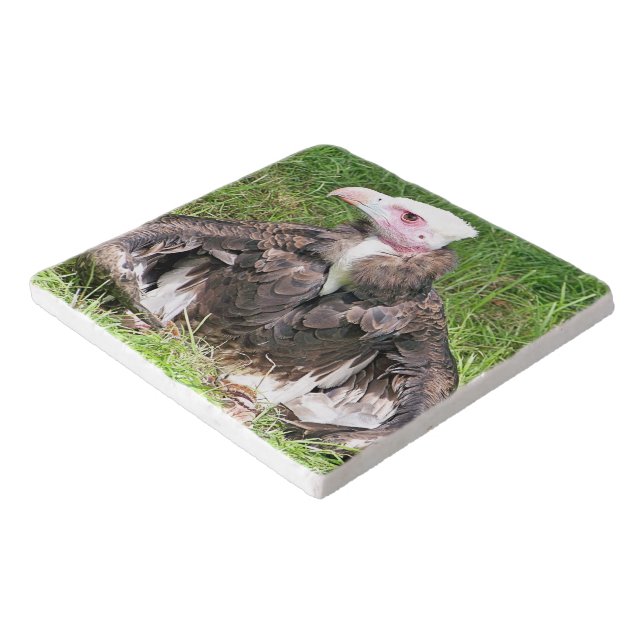 VULTURE TRIVET (Corner)