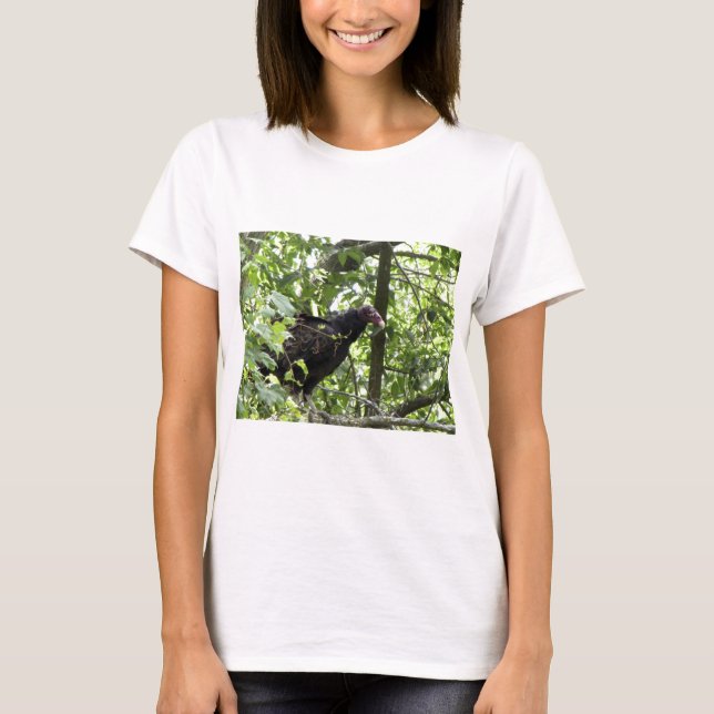 Vulture Turkey Vulture Cathartes aura T-Shirt (Front)