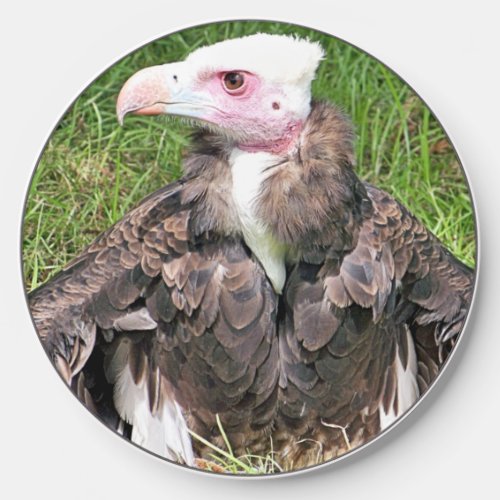 VULTURE WIRELESS CHARGER 