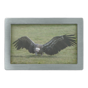 Vulture with open wings bird of prey photo belt buckle