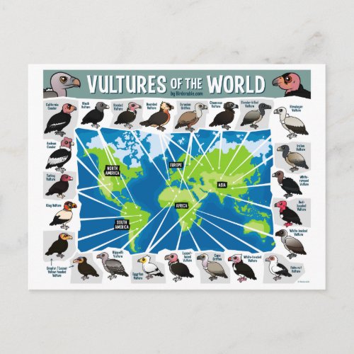 Vultures of the World Map Postcard