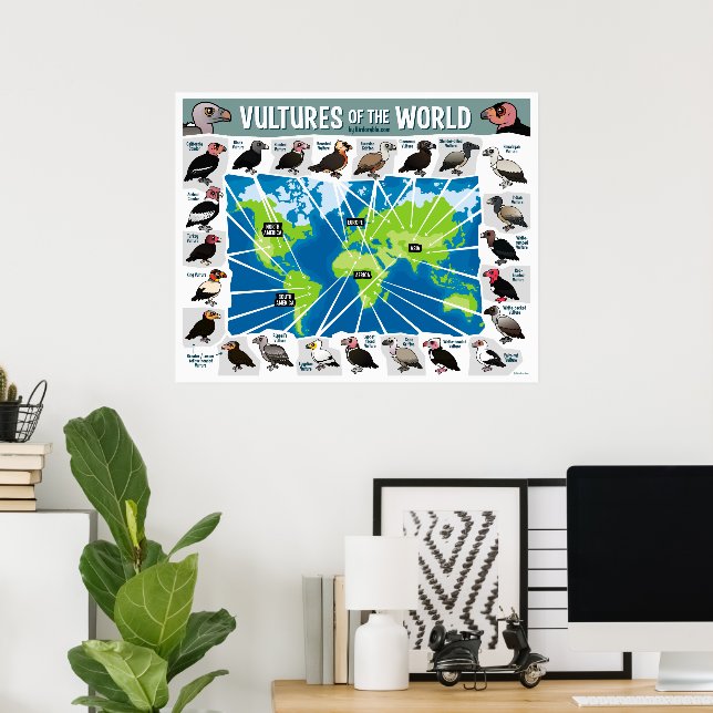 Vultures of the World Map Poster (Home Office)