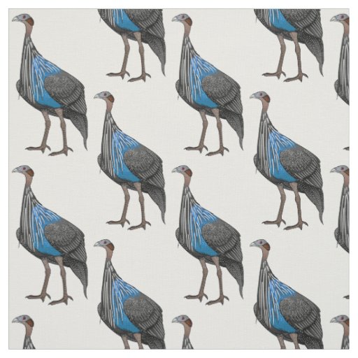 Vulturine guineafowl bird cartoon illustration fabric