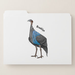 Vulturine guineafowl bird cartoon illustration file folder