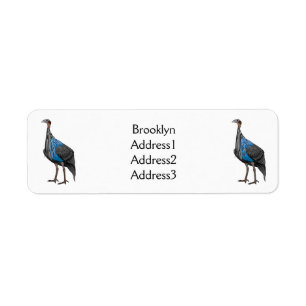 Vulturine guineafowl bird cartoon illustration label