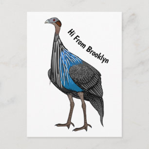 Vulturine guineafowl bird cartoon illustration postcard