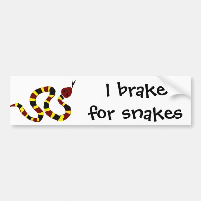 VW- Colorful Snake Primitive Art Bumper Sticker (Front)