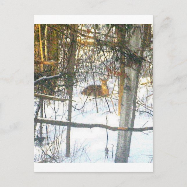 Wґḯtℯ✐♏ℴti√αtℯ Postcard (Front)