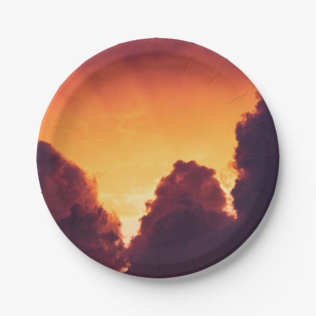 w in weather paper plates (Front)