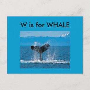 "W" is for Whale Alphabet Flashcard Postcard