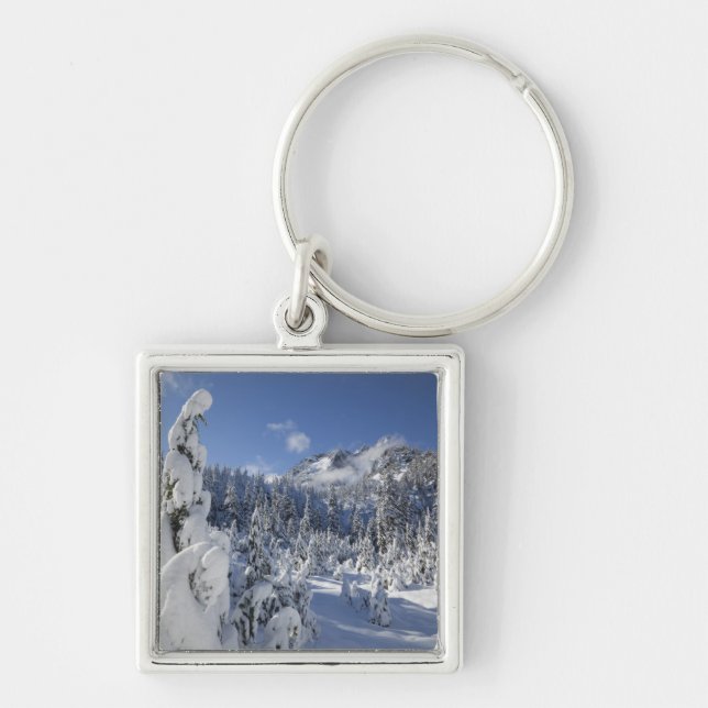 WA, Alpine Lakes Wilderness, Snow Lake basin Keychain (Front)