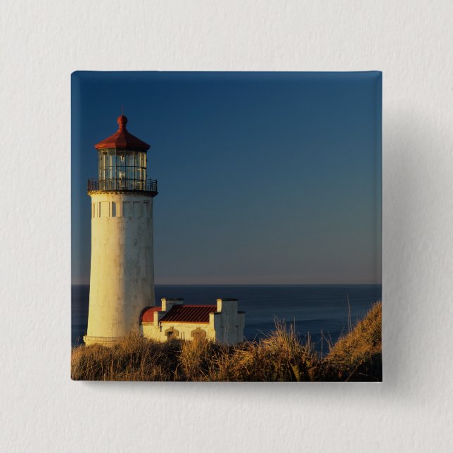 WA, Cape Disappointment State Park, North Head Button (Front)