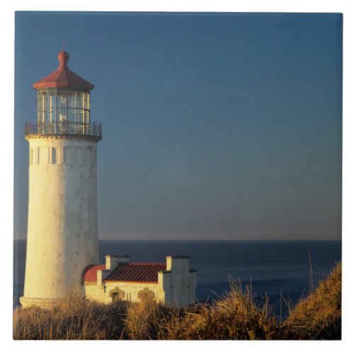 WA Cape Disappointment State Park North Head Ceramic Tile